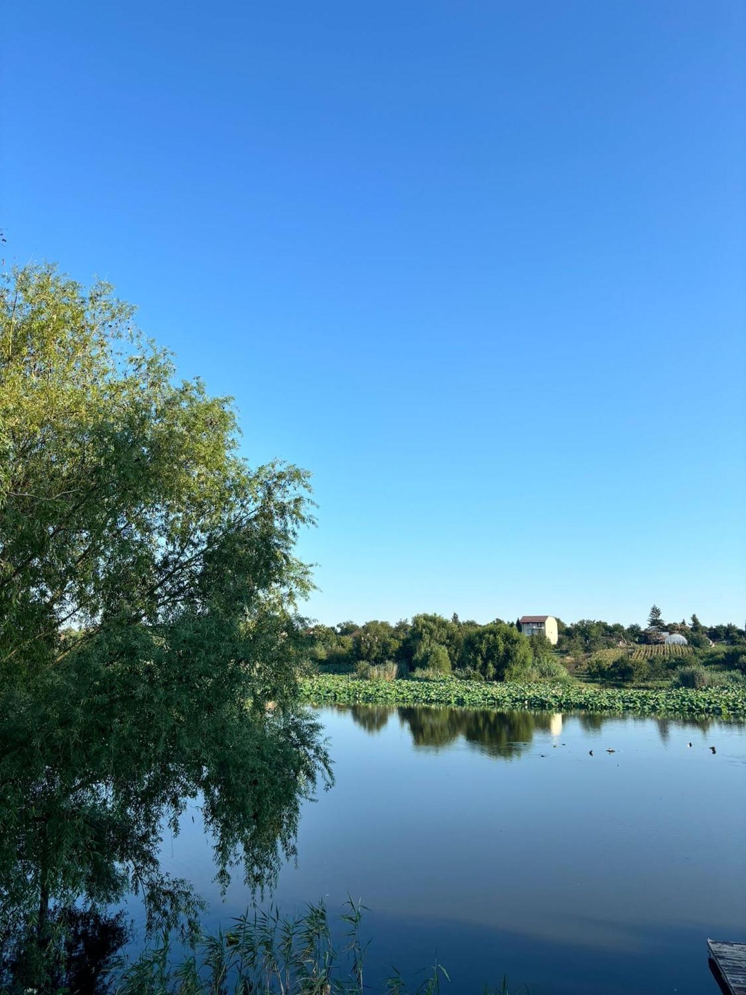 La Nuferi Lac To Therme & Aeroport Otopeni Hotel Sznagov Kültér fotó